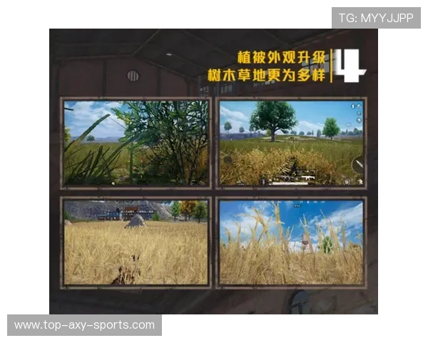 和平精英战术解析FPX战队的盯防体系及其战术优势探讨