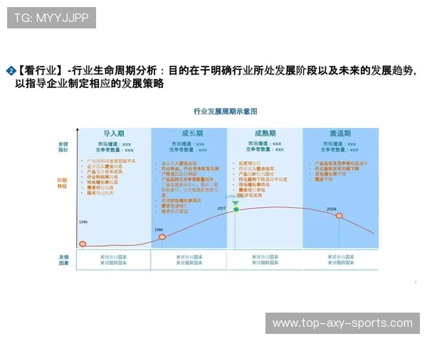数据分析揭示WE在市场竞争中的速度表现及其影响因素探讨